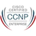 Cisco Certified Network Professional (CCNP)